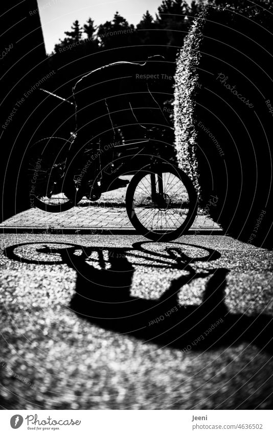 Sportlicher Jugendlicher macht Tricks auf dem Fahrrad springen Sprung Aktion Bewegung sportlich üben Training Junge Teenager Sonnenlicht Schatten Schattenspiel