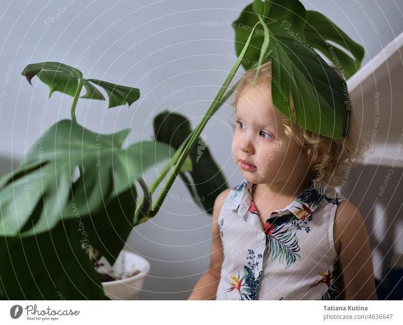 Kind zu Hause in monstera Blätter, eine Blume in einem Topf. Ästhetik inspiriert durch den Dschungel. Startseite Blumen Pflege wenig Mädchen Pflanze Natur