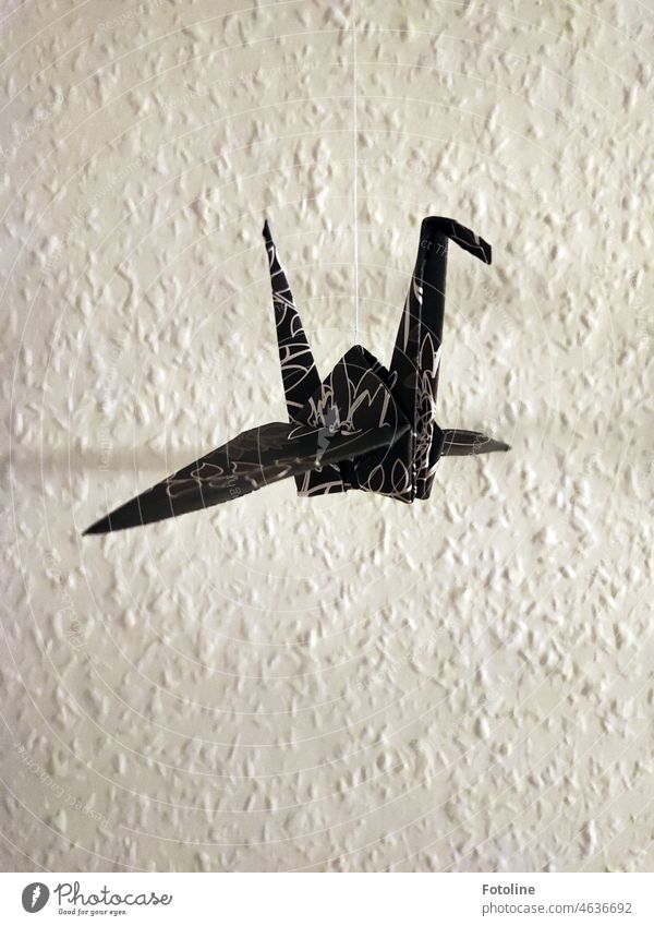 Ein Origamikranich hängt am seidenen Faden vor einer Wand mit Raufasertapete Kranich Origami-Papier Innenaufnahme Freizeit & Hobby Basteln gefaltet Kreativität