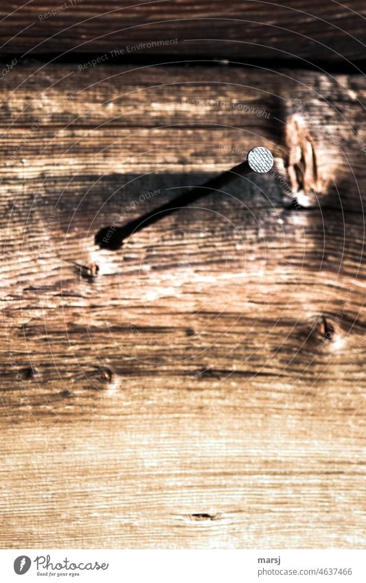 Kopfsache. Gemusterter Nagelkopf. Obwohl, am Schatten auf altem, abgelebten Holz sieht man erst, dass es ein Nagel ist. Stahl dunkel standhaft braun Kontrast