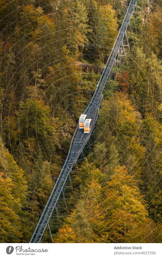 Eisenbahnbrücke über den Wald im Gebirge Natur Brücke Berge u. Gebirge Landschaft reisen Ausflug Zug Österreich Baum nadelhaltig malerisch grün Weg Immergrün
