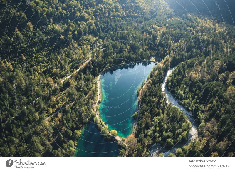 Ruhiger See umgeben von Wald Natur Berge u. Gebirge Sommer Baum Österreich Salzburg Landschaft reisen nadelhaltig Seeufer türkis Wasser Sonne grün friedlich