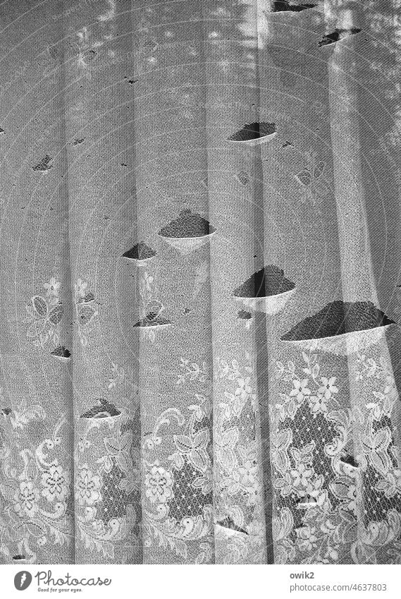 Lochmuster Gardine alt Fenster Schaden Schwarzweißfoto Zahn der Zeit lost places kaputt trist Strukturen & Formen Detailaufnahme Verfall Sichtschutz schadhaft