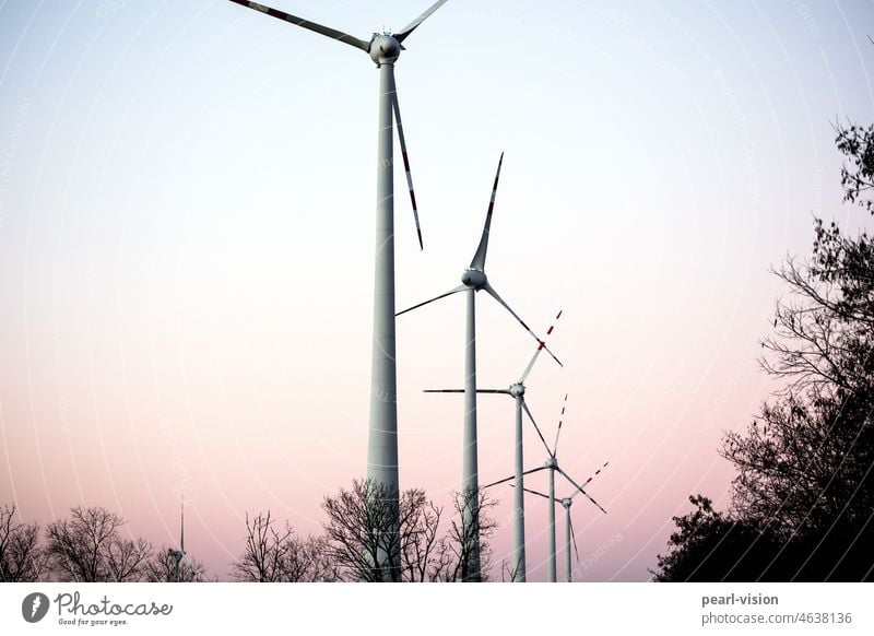 Windräder am Morgen Morgendämmerung Windkraftanlage Erneuerbare Energie Energiewirtschaft umweltfreundlich Umweltschutz Windenergie Windrad wolkenlos
