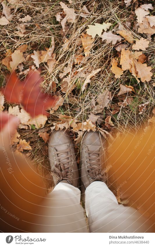 Weibliche Beine in Herbstschuhen auf Herbstblättern und Gras im Park. Konzeptuelles Bild von Beinen in Schuhen auf dem Herbstlaub. Füße Schuhe zu Fuß in der Natur.