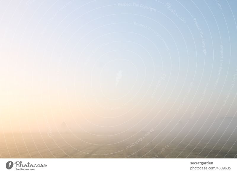 [Teufelsmoor 2021] Lichtmalerei Sonnenaufgang positiv Feld Acker Landwirtschaft milchig Horizont Landschaft Himmel Natur horizont Schönes Wetter Menschenleer