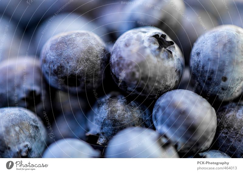 Blaubeeren Gerangel Frucht Ernährung Natur blau violett Lebensmittel fruchtig saftig eng Zusammenhalt Farbfoto Nahaufnahme Detailaufnahme Makroaufnahme