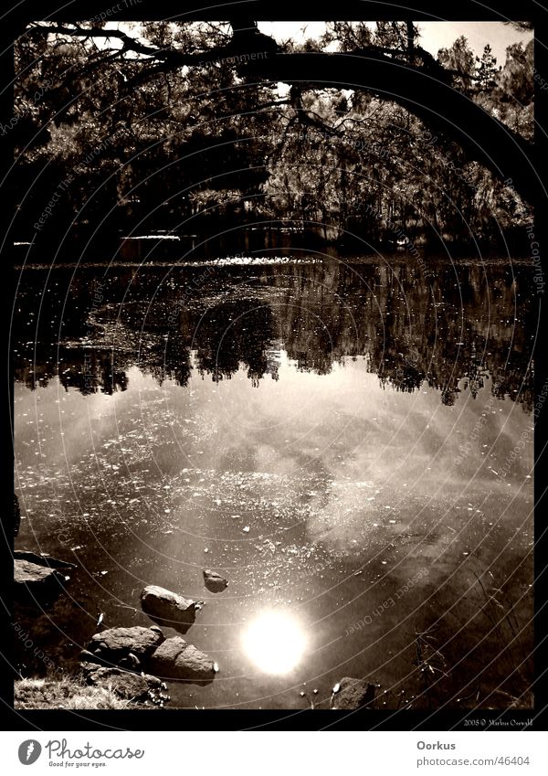 Spiegelung See Wasseroberfläche Reflexion & Spiegelung Sonne
