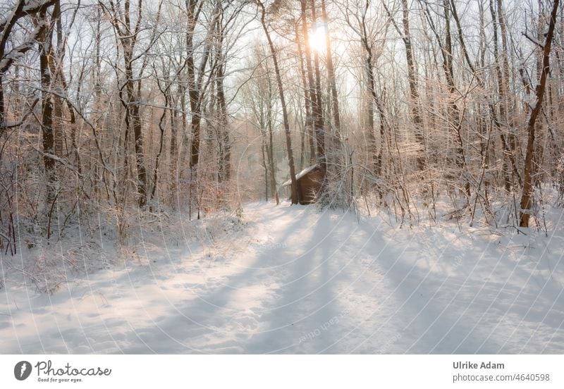 Winterliche Idylle - Schneelandschaft im Wald umrahmt eine Holzhütte Umwelt Klima Garlstedt Osterholz-Scharmbeck Worpswede Niedersachsen Bremen idyllisch