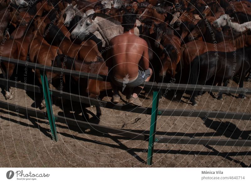 Ein Junge wartet darauf, die Wildpferde in der rapa das bestas de Amil zu halten aloitador aloitadores pelo coleta jung nackter Rücken Pferd Galicia Tradition