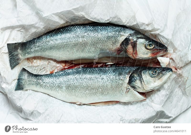 Frischer Wolfsbarsch Bass frischer Wolfsbarsch frischer Fisch Seefisch Lubina Lubina Fresca Lebensmittel Bestandteil Seafood Farbfoto
