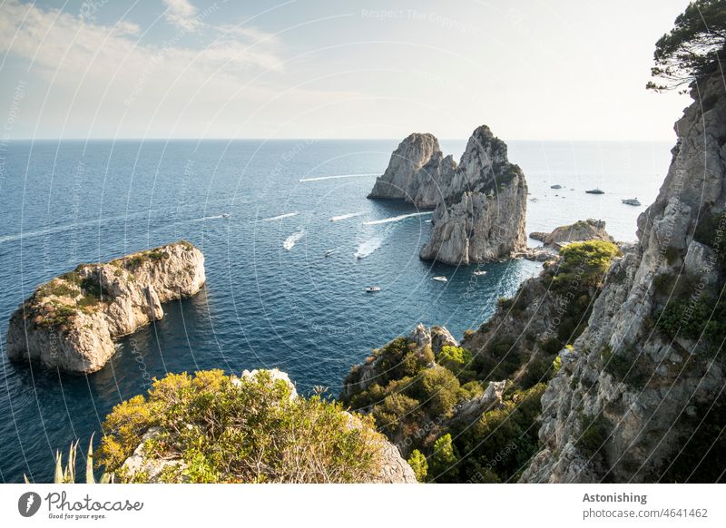 Blick auf die Faraglioni-Felsen - Capri Meer Inseln Natur Landschaft Wasser Blau Horizont Weite Aussicht Stein Hoch Sommer Urlaub Boote Tourismus Pflanzen
