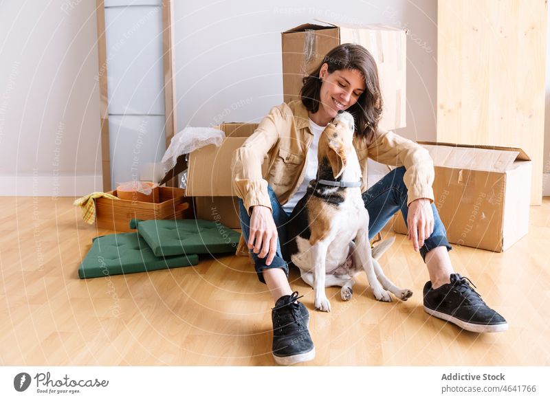 Fröhliche Frau mit Hund in der Nähe von Kartons verlegen Lächeln Kasten heimwärts Zugehörigkeit Beagle Haustier Besitzer einziehen Zusammensein heimisch Glück