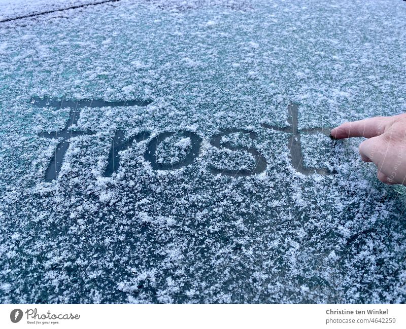 Mit dem Finger „Frost“ auf die gefrorene Autoscheibe schreiben Wort Winter Autofenster Frontscheibe Morgen vereist Eis eiskalt frieren Geschriebenes
