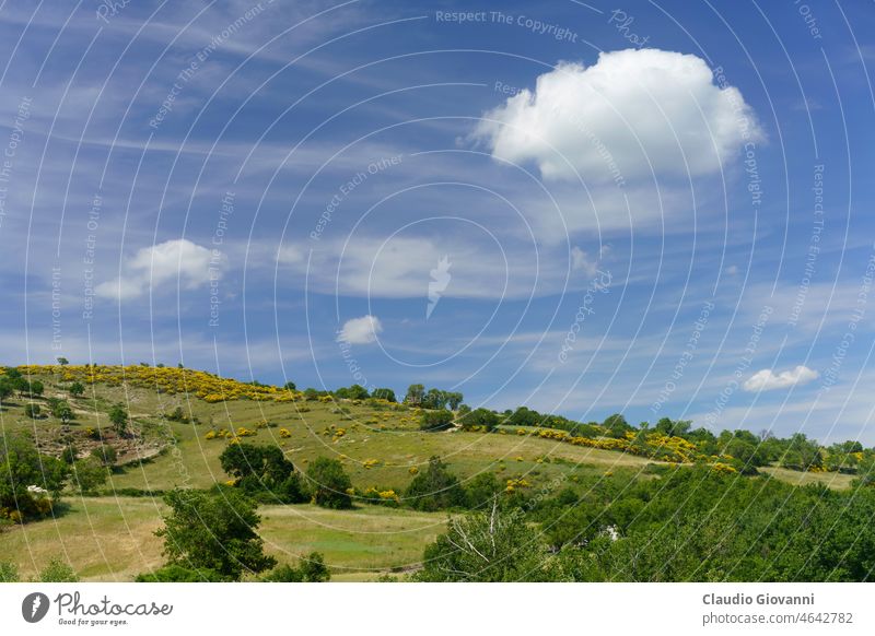 Landschaft in Molise bei Macchiagodena und Frosolone Europa Isernia Italien Juni Farbe Tag Feld Blume grün Hügel Berge u. Gebirge Natur im Freien Fotografie