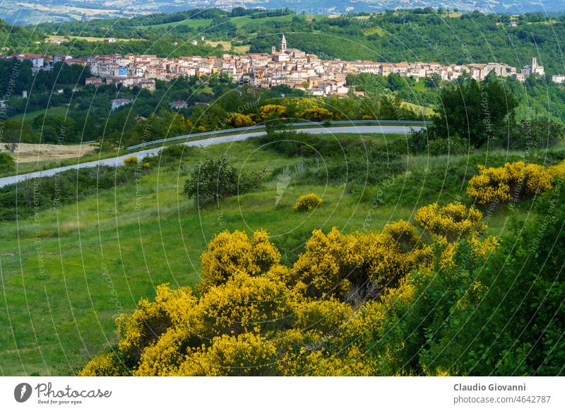 Landschaft in Molise in der Nähe von Macchiagodena und Frosolone. Blick auf Sant Elena Sannita Europa Isernia Italien Juni Sannio Farbe Tag Feld Blume grün