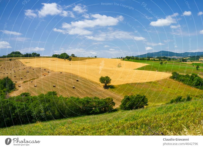 Ländliche Landschaft in Apulien, Italien Juni ländlich Hügel sonnig Natur