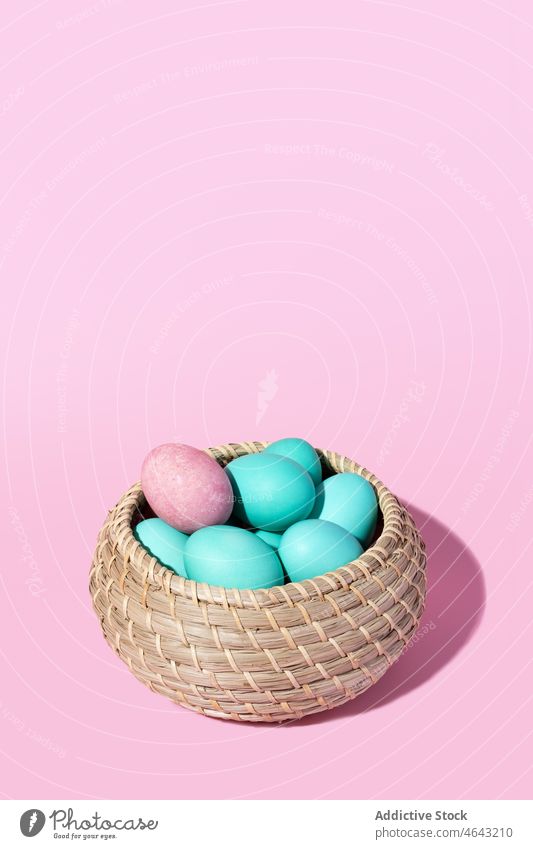 Weidenkorb mit blauen Eiern und einem einzelnen rosa Ei auf einem rosa Hintergrund Korb Lebensmittel vereinzelt Ostern Hähnchen Natur Frühstück Menschengruppe