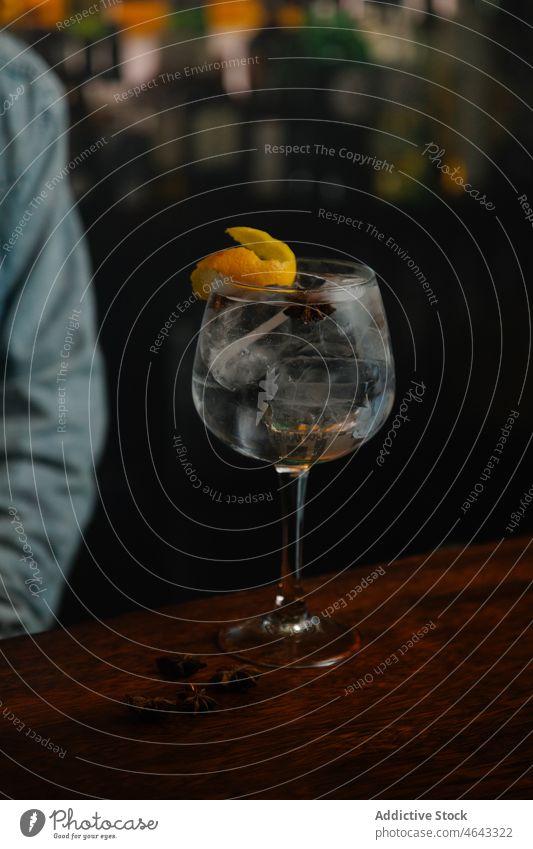 Anonymer Barkeeper serviert Gin-Tonic-Cocktail in einer Bar Frau Getränk Alkohol dienen Schnaps Gin Tonic Schale Zitrusfrüchte orange Abfertigungsschalter Glas