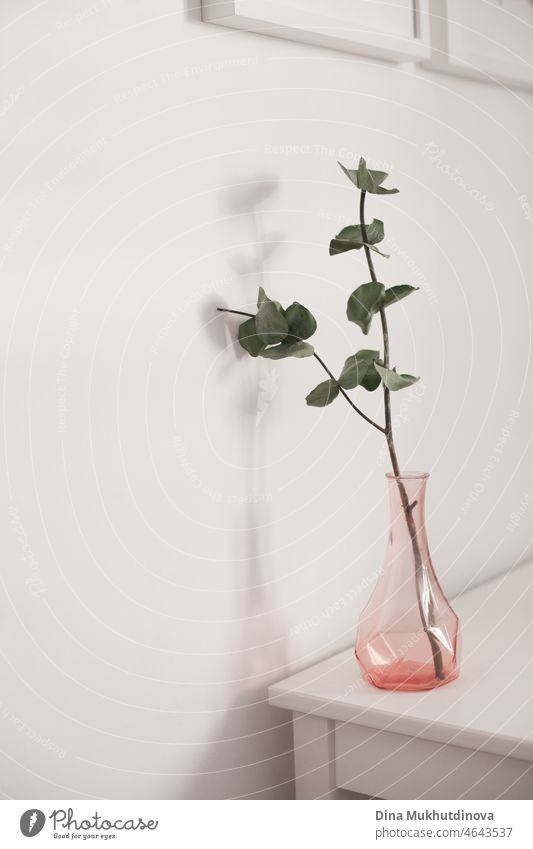 Vase mit grünen Eukalyptus zu Hause auf weißem Tisch im Wohnzimmer. MInimal floral eco Dekor zu Hause Wohnung. Rahmen Innenbereich Raum Zusammensetzung Werbung