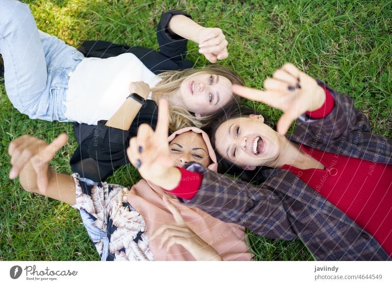 Fröhliche Damen gestikulieren mit der Kamera, während sie im Gras liegen Frauen Lügen Rasen Lachen Zeit verbringen Freund Spaß haben spielerisch Zusammensein