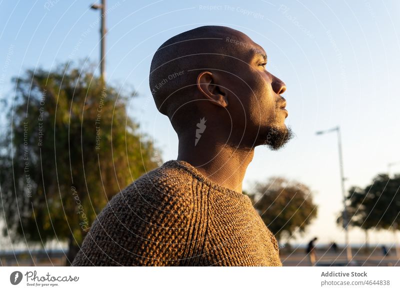 Schwarzer Mann bewundert Stadtbild Straße beobachten bewundern Großstadt urban Brücke PKW männlich kahl Afroamerikaner schwarz Typ Sonnenschein Sonnenlicht