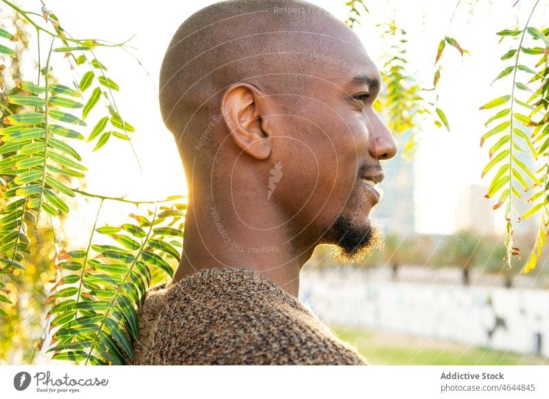 Glücklicher schwarzer Mann bewundert das Stadtbild Straße beobachten bewundern Brücke männlich kahl Afroamerikaner Sonnenschein Sonnenlicht Sommer Baum Stil
