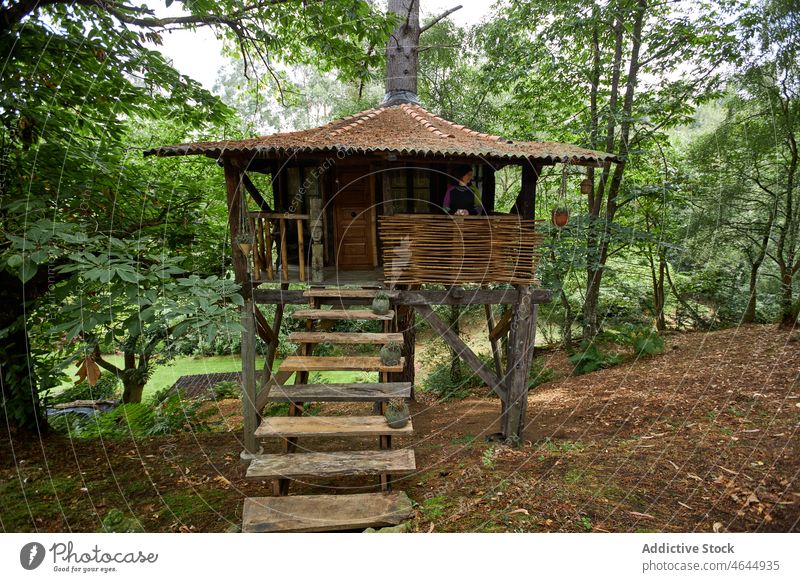 Gesichtslose Person im Baumhaus Haus ruhen Erholung Landschaft Gebäude Pflanze Natur Hain Sommer Wald Flora Konstruktion Laubwerk Spanien Asturien grün Umwelt