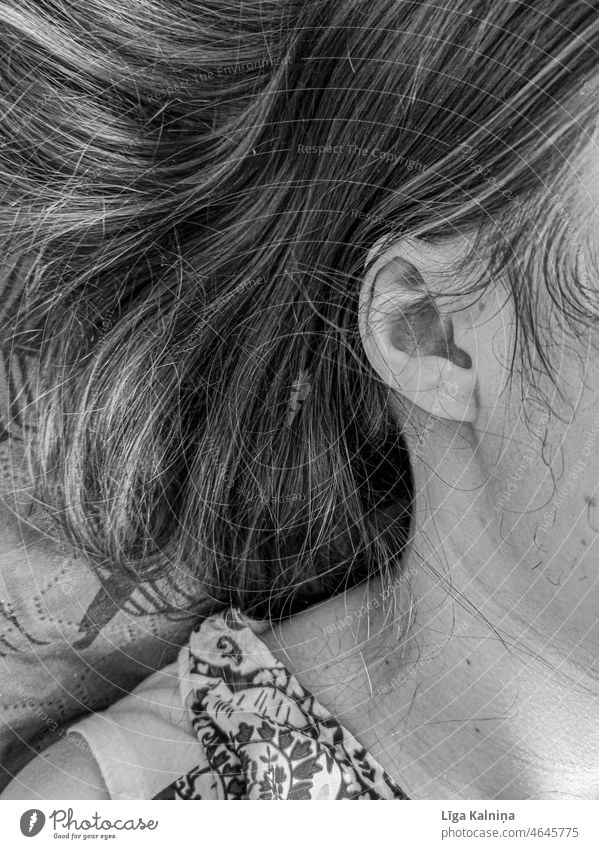 Ohr aus der Nähe Ohrmuschel Haare & Frisuren Ohrläppchen hören Detailaufnahme Haut Mensch Windstille feminin Frau Kopf Nahaufnahme Erwachsene 1 Hals