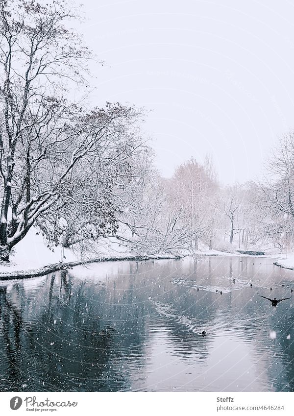 Winter am Teich Teichufer Ententeich Park Schneefall Wasservögel Winterspaziergang schneebedeckt Dezember Schneedecke Kälte winterlich Winterkälte