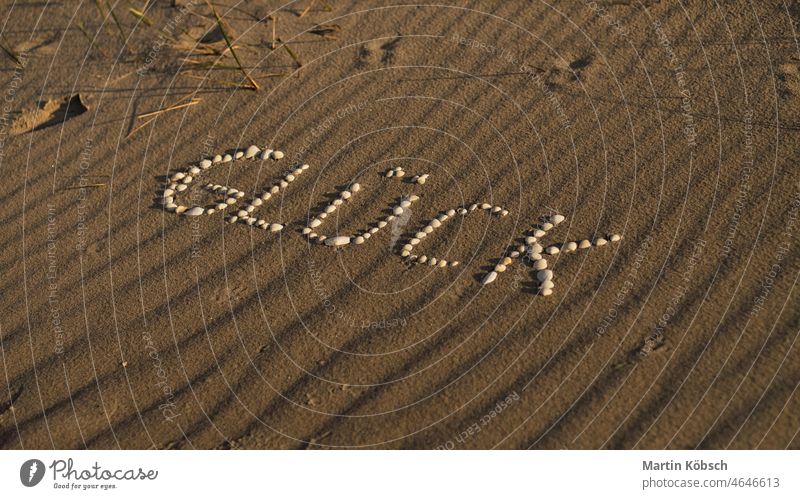 Schriftzug Glück am Ostseestrand mit Muscheln gelegt Fröhlichkeit Symbol Strand baltisch Urlaub Zeichen Panzer Sand MEER Liebe Erholung Meeresfrüchte Postkarte