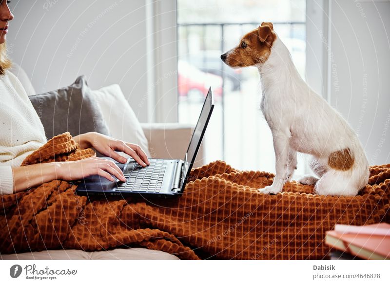 Frau arbeitet zu Hause mit ihrem Hund Haustier Sofa Laptop Liege Hausaufgabe Arbeitsplatz Bildung studierend Zusammensein freiberuflich Familie Lifestyle