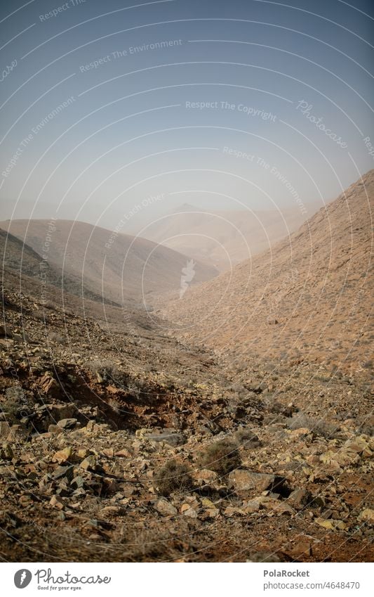 #A0# Nebeltal Tal Nebelstimmung Abenteuer Nebelschleier Außenaufnahme Fuerteventura Natur Landschaft Morgendämmerung Menschenleer Berge u. Gebirge Calima