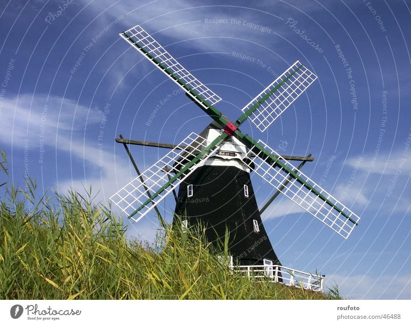 XMT30147 Mühle Windmühle historisch Müller Mehl zerkleinern Deich Pellworm Nordfriesland Getreide Insel Nordsee