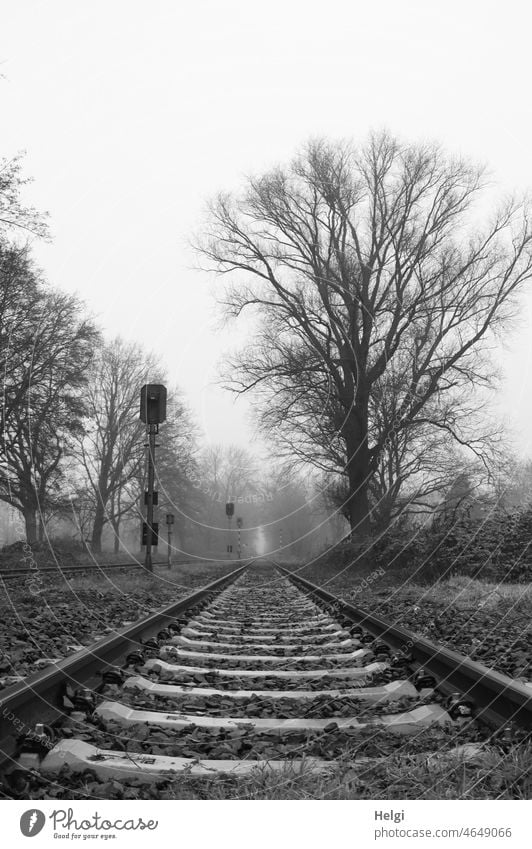 Gleisbett einer wenig benutzten Bahnstrecke, am Rand kahle Bäume. Schwarzweiß-Aufnahme. Bahngleise Gleise Winter trist Tristesse Perspektive Eisenbahn Schienen