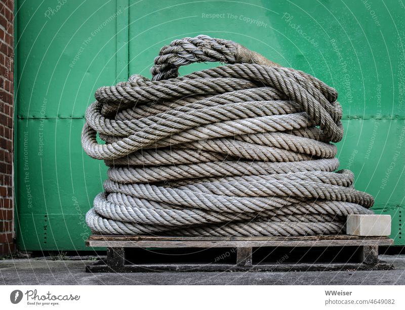 Eine riesige Taurolle vor einer grünen Metalltür im alten Hafen Seil gerollt Rolle geflochten Tür Farbe Hamburg lagern Palette Rampe gedreht Tor maritim