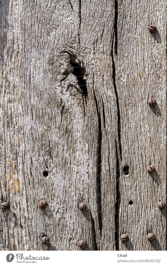alte Holztür mit rostigen Linsenkopf Schrauben Patina Astloch grau Vergraut Außenaufnahme Strukturen & Formen Menschenleer Farbfoto Maserung verwittert Tag