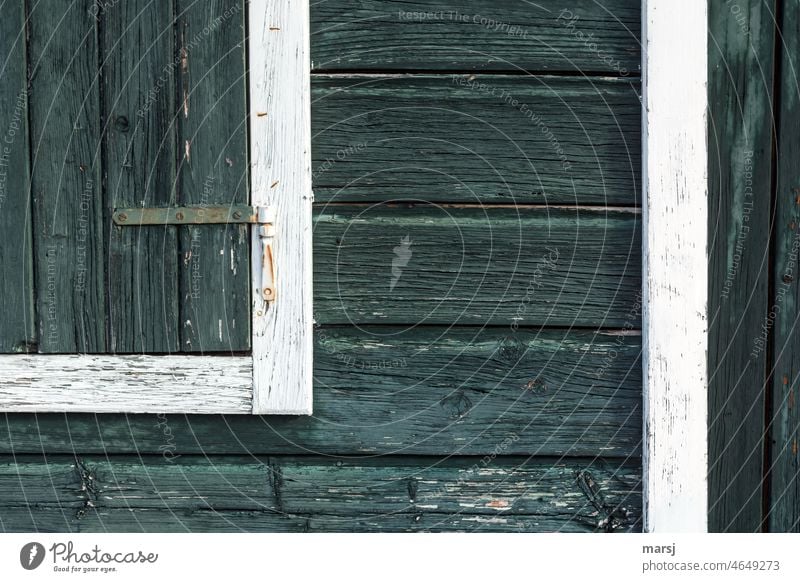 Hölzern, grün und abgewittert. Geschlossenes Fenster an einer Hütte aus Holz. alt rustikal geometrisch verwittert Maserung Strukturen & Formen geteilt Holzwand