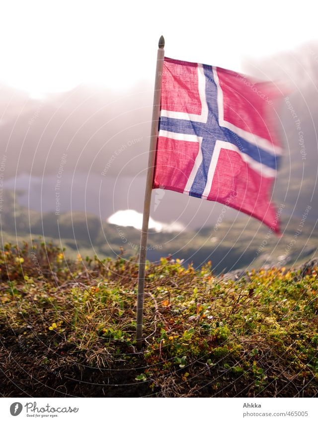 Norwegische Flagge im Sturm, Gegenlichtaufnahme, Berglandschaft Ferien & Urlaub & Reisen Tourismus Ausflug Ferne Freiheit Sightseeing Expedition