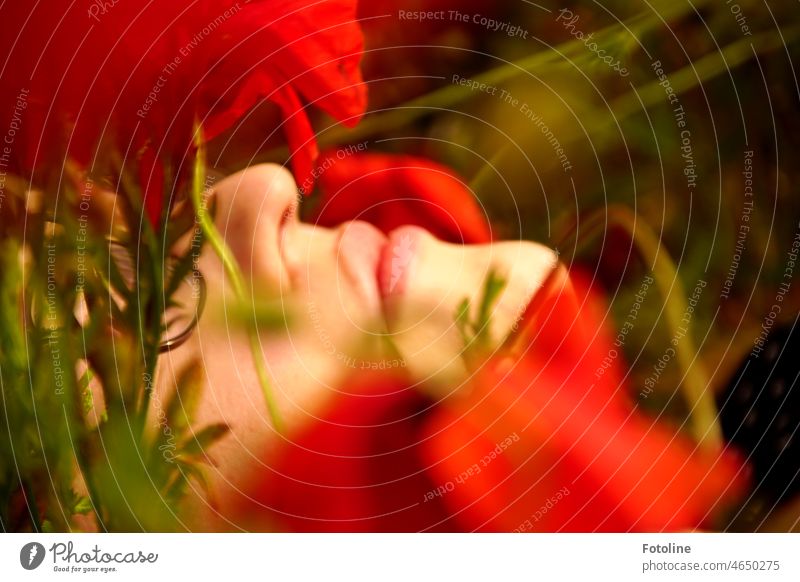 Ein Traum von Sommer. Eine junge Frau liegt im Garten zwischen Mohnblüten. Nur ein Teil ihres Gesichts ist zu sehen. Nase Mund Lippen Kinn Jugendliche Haut