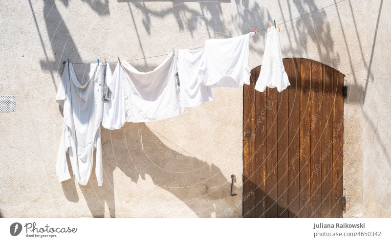 Wäscheleine in der Sonne mit weißer Wäsche trocknen Wäsche waschen Waschtag Haushalt aufhängen Sauberkeit Haushaltsführung Häusliches Leben frisch