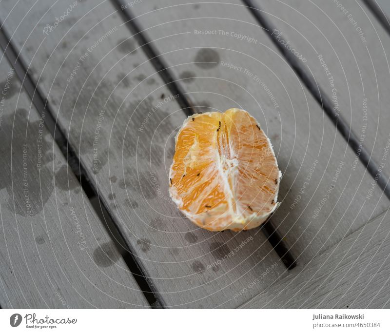 Orange voller Ameisen orange Frucht saftig Nahaufnahme Lebensmittel Gesundheit Ernährung Zitrusfrüchte natürlich Armeisen reif Flecken organisch süß verdorben