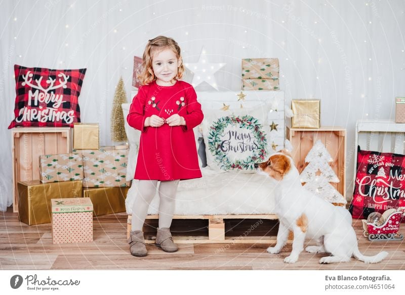 Kleines Mädchen zu Hause stehend neben Jack Russell Hund. Kind trägt rotes Weihnachtskleid zu Hause über Weihnachtsdekoration. Urlaub Konzept Weihnachten
