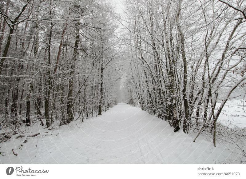 Waldweg im Winter mit viel Schnee Weg Eis Landschaft Frost Bäume Winterwald Winterstimmung Wintertag kalt Natur Schneedecke Außenaufnahme Winterlandschaft