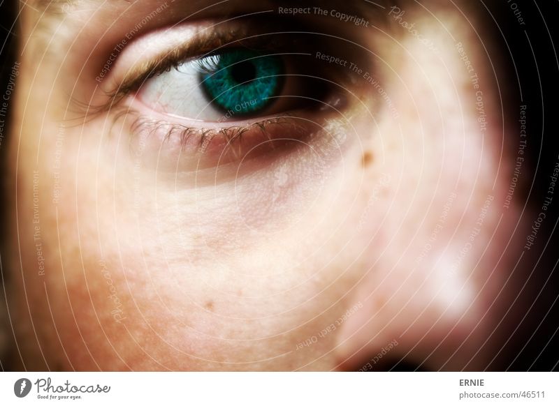 A Selbstportrait Auge Nase