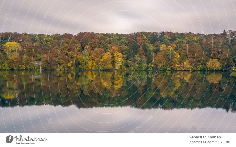Bunter Herbstwald spiegelt sich im ruhigen, glatten See Wald Reflexion & Spiegelung Wasser Landschaft farbenfroh Natur gelb Park malerisch Saison im Freien