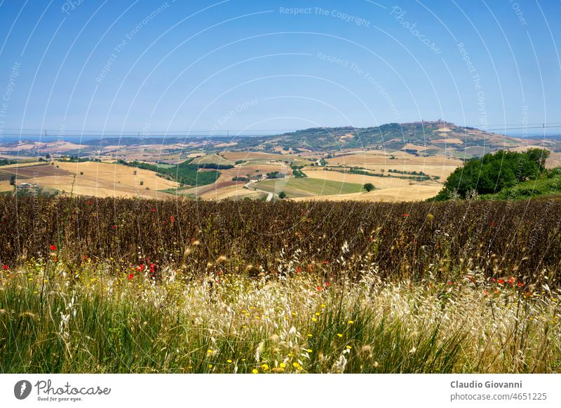 Ländliche Landschaft in Molise, Italien, im Juni Campobasso Natur sonnig ländlich