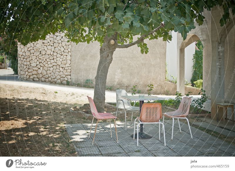 sitzplatz Garten Stuhl Tisch Pflanze Baum Feigenbaum Kroatien Haus Bauwerk Gebäude Fassade Terrasse entdecken Erholung Farbfoto Außenaufnahme Menschenleer Tag