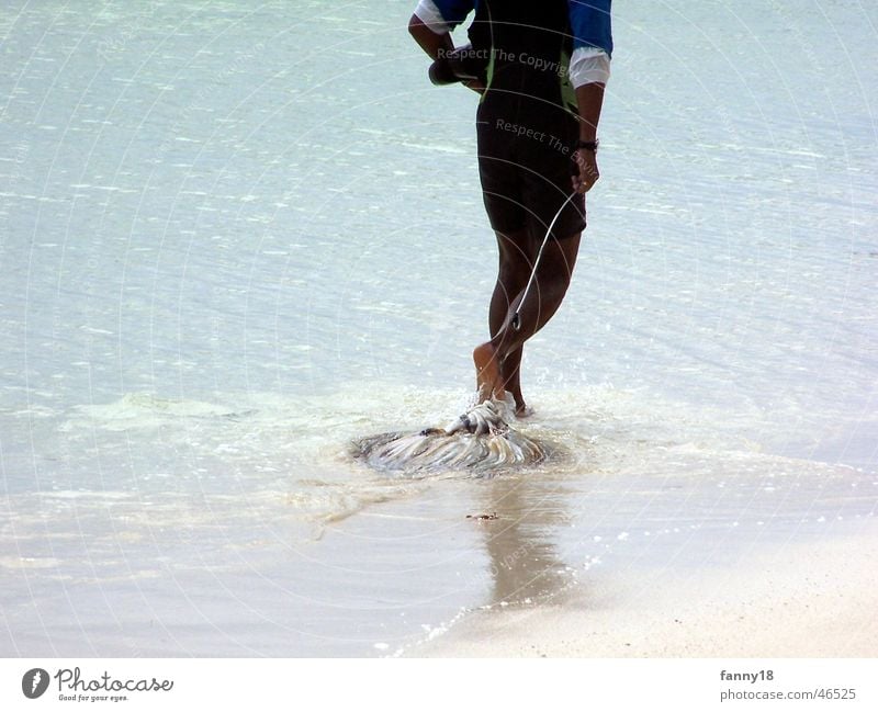 Der einsame Fischer Seychellen La Digue Angeln Tintenfisch einheimisch Strand fangen Ernährung calamari Insel Wasser ziehen Tod Lebensmittel