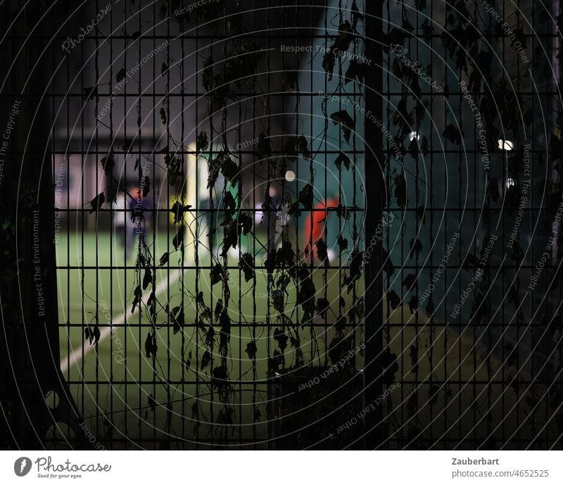 Blick auf erleuchteten Fußballplatz bei Nacht mit schemenhaften Spielern durch Zaun mit Blättern Flutlicht Rasen Tor Torlinie Training trainieren Sport Stadt